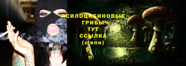 PSILOCYBIN Абаза