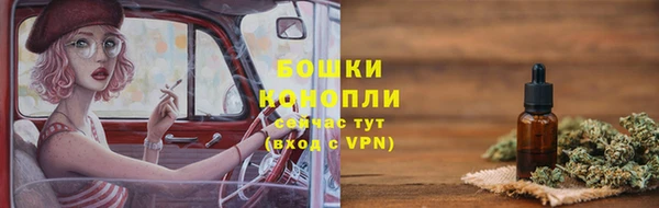 PSILOCYBIN Абаза