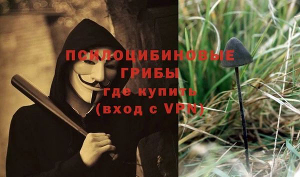 хмурый Нея