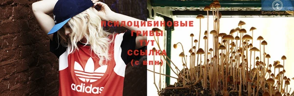 хмурый Нея