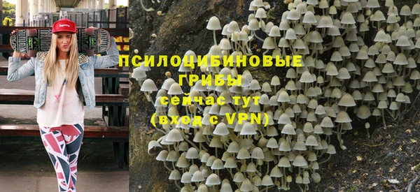 PSILOCYBIN Абаза